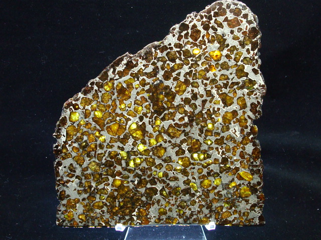 Brahin Pallasite Meteorite Slice - 721.4 gms