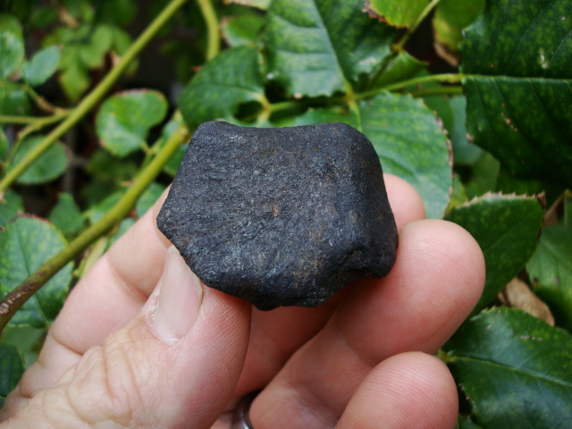 58.7 gram Buzzard Coulee Meteorite