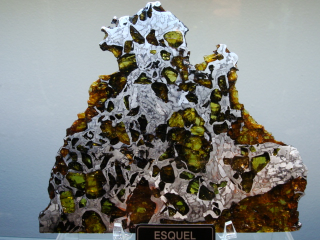 Esquel Pallasite Meteorite Slice - 237.4 gms