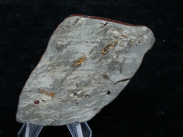 Gebil Kamil Meteorite Slice - 47.7 gms