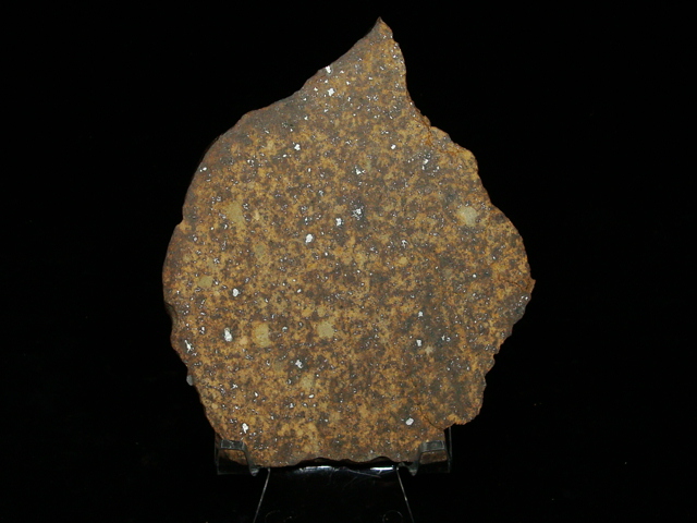NWA 12,482 Meteorites For Sale