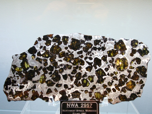 NWA Pallasite Meteorite Slice - 218.8 grams
