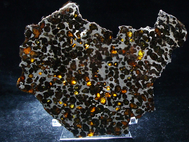 Sericho Pallasite Meteorite Slice - 236.6 gms