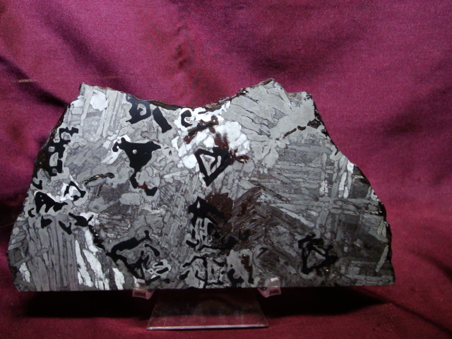 Seymchan Pallasite Meteorite Slice with Chromite inclusions - 403.4 gms