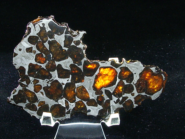 South Bend Pallasite Meteorite Slice - 70.91 grams