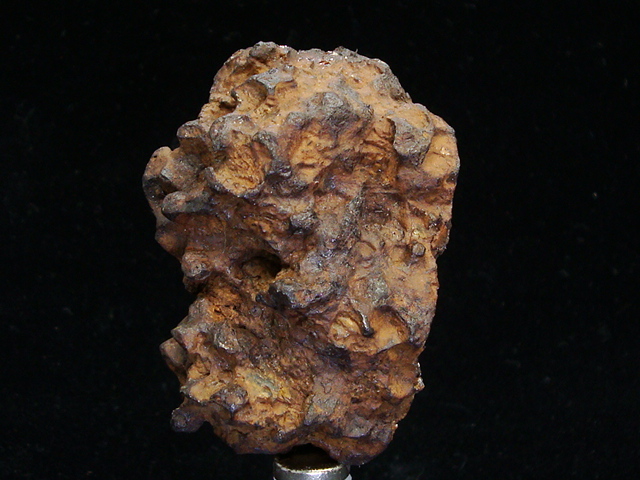 Springwater Pallasite Meteorite Individual - 97.9 grams