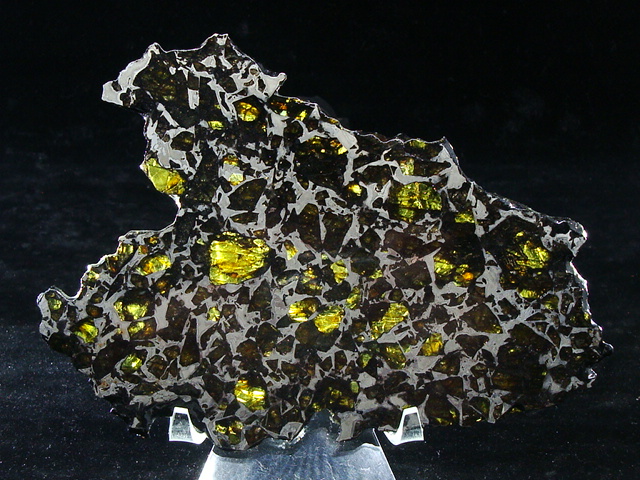 Admire Pallasite Meteorite Slice - 190.1 grams