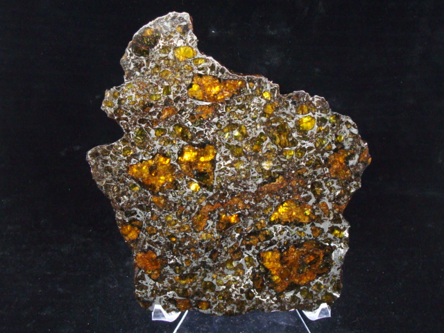 Admire Pallasite Meteorite Slice - 719.6 gms
