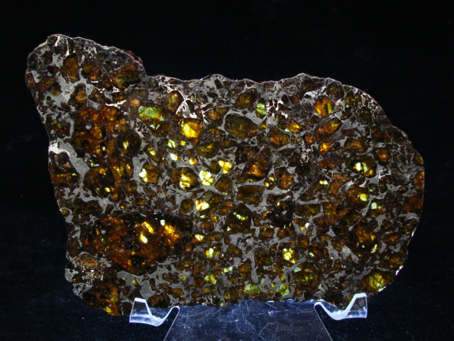 Admire Pallasite Meteorite Slice - 325.1 gms