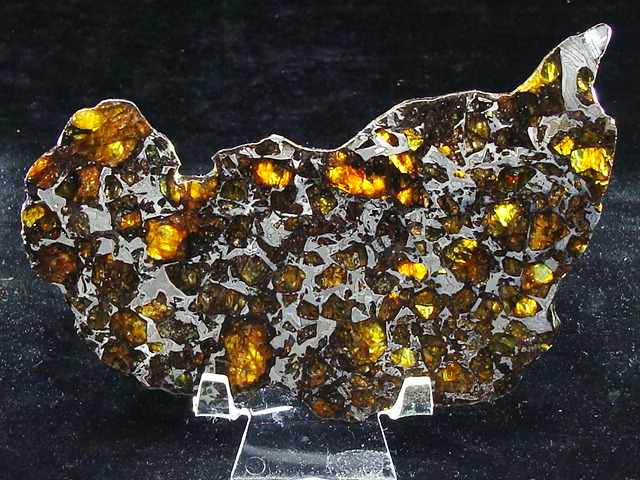 Admire Pallasite Meteorite Slice - 105.6 gms
