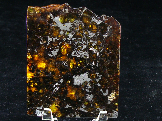 Admire Pallasite Meteorite - 90.1 gms