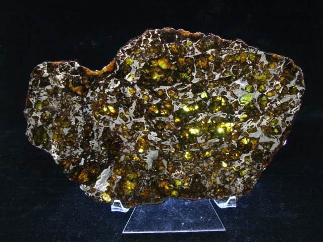 Admire Pallasite Meteorite Slice - 550.0 gms