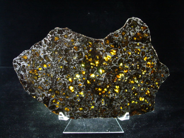 Admire Pallasite Meteorite Slice - 687.5 gms