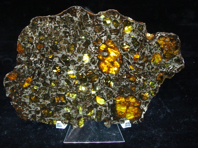 Admire Pallasite Meteorite Slice - 197.4 gms