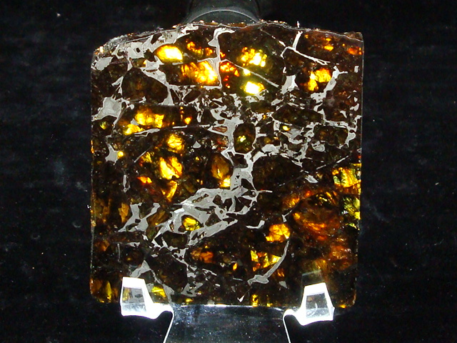 Admire Pallasite Meteorite Slice - 71.8 gms