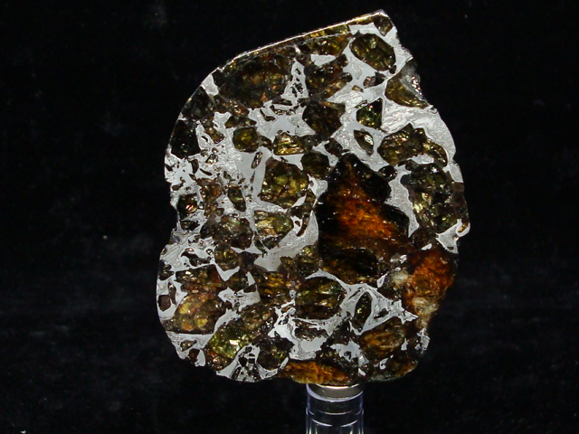 Admire Pallasite Meteorite End Cut - 78.3 gms
