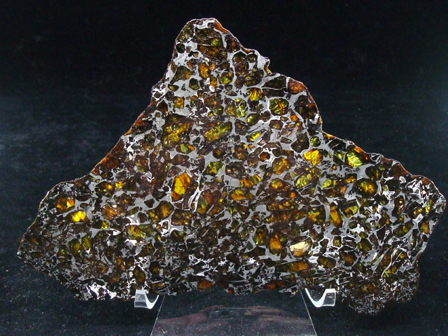 Albin Pallasite Meteorite Slice - 201.1 gms