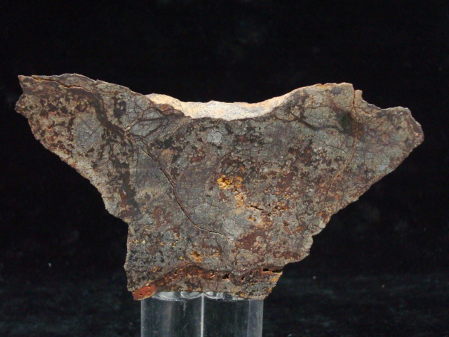 Bondoc Meteorite End Cut - 252.8