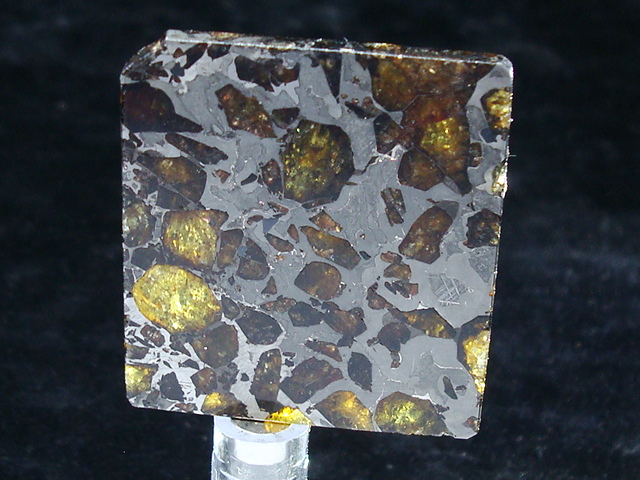Brahin Pallasite Meteorite - 19.8 gms