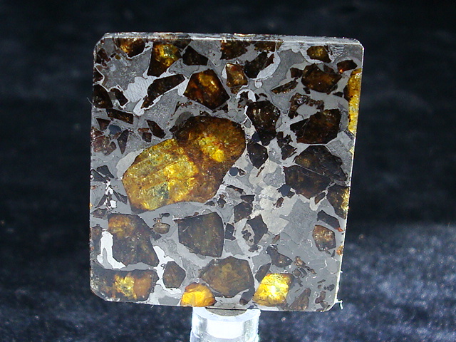 Brahin Pallasite Meteorite - 18.2 gms