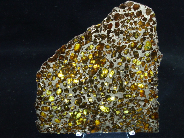 Brahin Pallasite Meteorite Slice - 553.7 gms