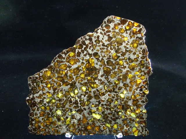 Brahin Pallasite Meteorite Slice - 563.1 gms
