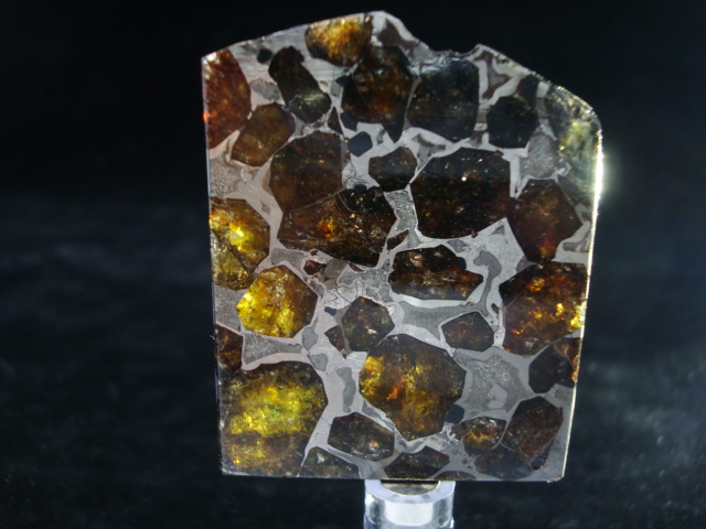 Brahin Pallasite Meteorite - 24.7 gms