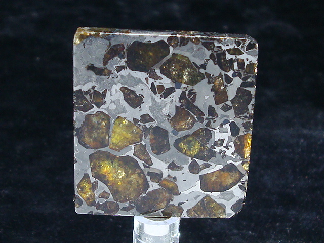 Brahin Pallasite Meteorite - 21.9 gms