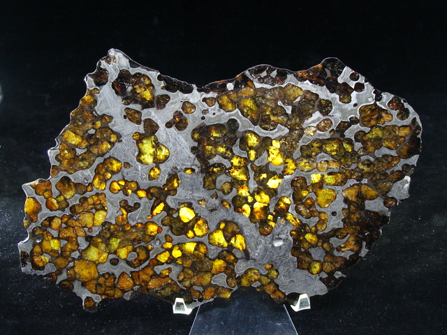 Les Météorites Duo NWA 2902 Meteorite Slice | 51.05 Gr | Rare L-Melt Rock