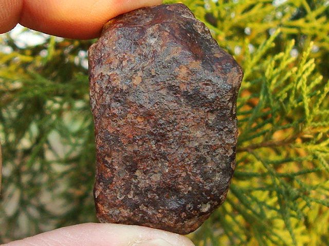 Buck Mountains 002 Meteorite - 46.3 grams