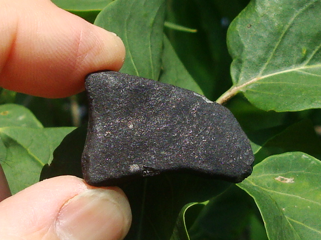 BuzzardCouleeMeteoriteEndCut12.4gms