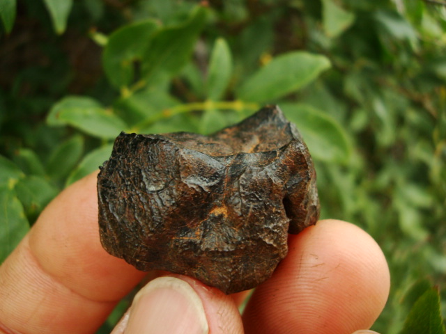 Camel Donga Meteorite - 30.6 grams