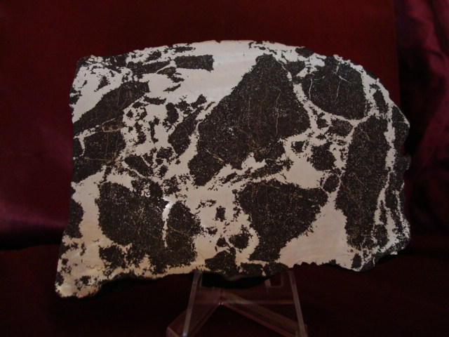 Silicated Campo del Cielo Meteorite - 185.4 gm Slice