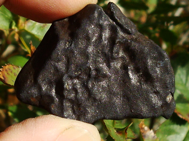 Chelybinsk Meteorite - 59.9 grams