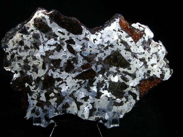 Choteau Pallasite Meteorite Slice - 60.75 gms