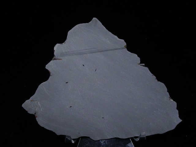 Dumont Meteorite Slice - 175.8 gms
