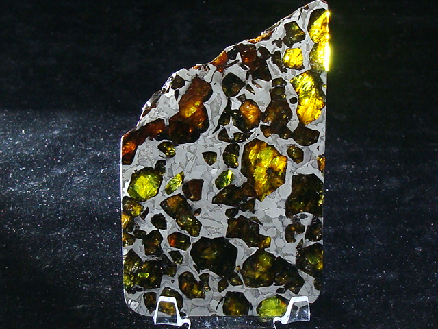 What's New at KD Meteorites!