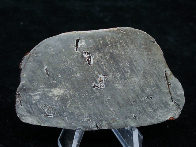 Gebil Kamil Meteorite Slice - 48.0 gms