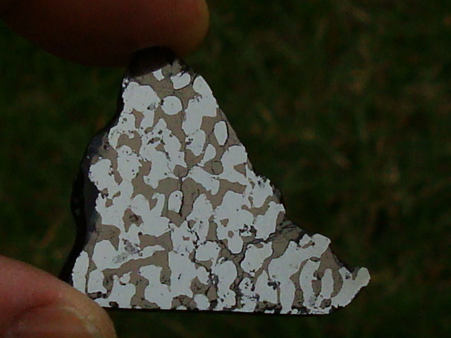 KDMCollectionGeorgetownIronMeteorite10.43gms