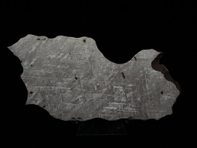 301.3 gram Gibeon Meteorite