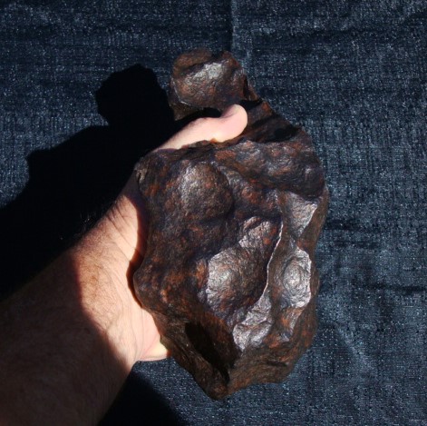 Gibeon Meteorites For Sale