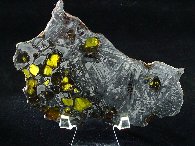 Glorieta Mountain Pallasite Meteorite Slice - 176.6 grams
