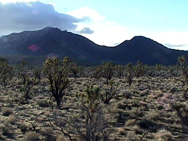 Gold Basin Meteorite Strewnfield