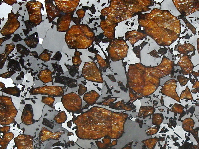 パラサイト隕石 Hassi el Biod 002 スライス ケース 証明書付き