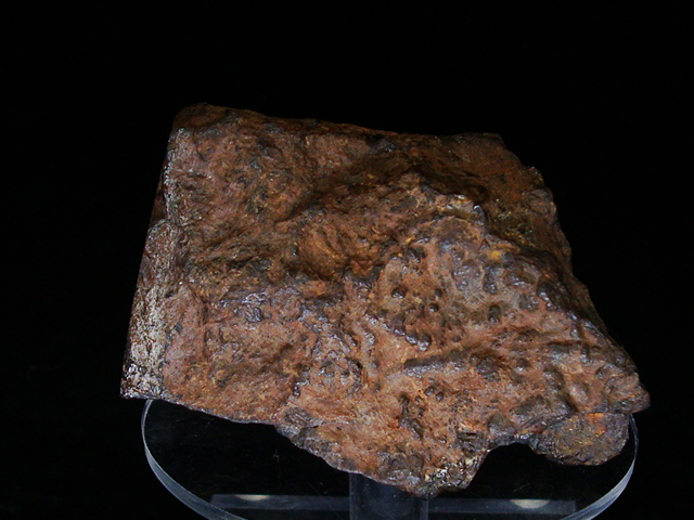 Huckitta Pallasite Meteorite End Cut - 171.2 gms