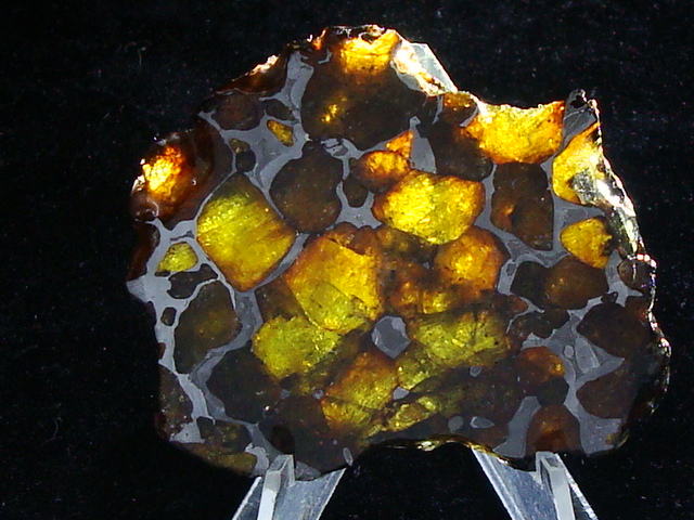 Imilac Pallasite Meteorite Slice - 29.7 gms