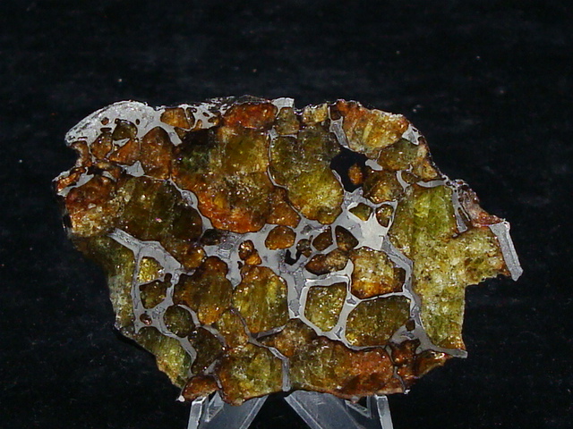 Imilac Pallasite Meteorite End Cut - 70.3 gms