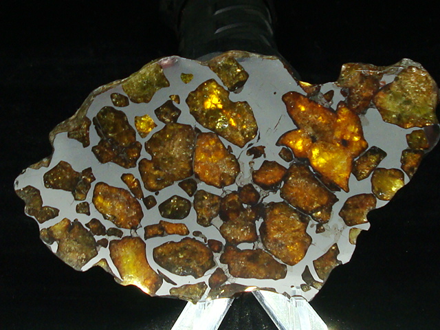 Imilac Pallasite Meteorite Slice - 60.9 gms