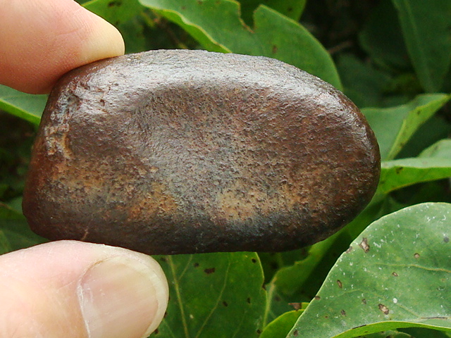 Mohave Mountains Meteorite - 119.7 gms