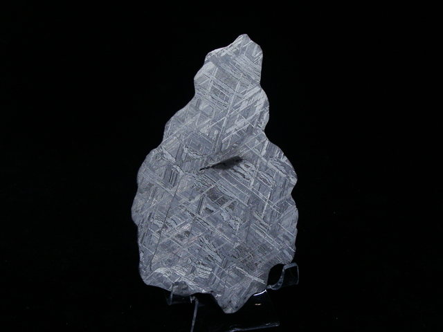 Muonionalusta Meteorite - 114.0 gms